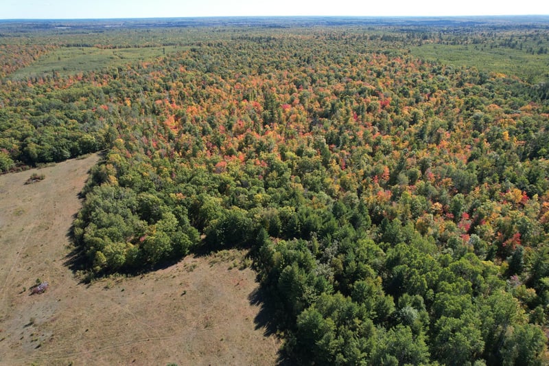 TBD- 269th Ave, Laporte, MN 56461