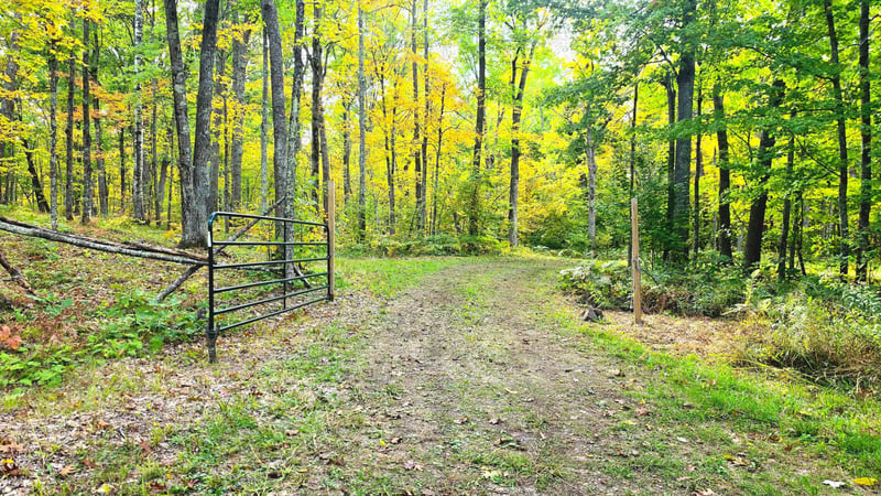 57391 Duncan Rd, Sandstone, MN 55072