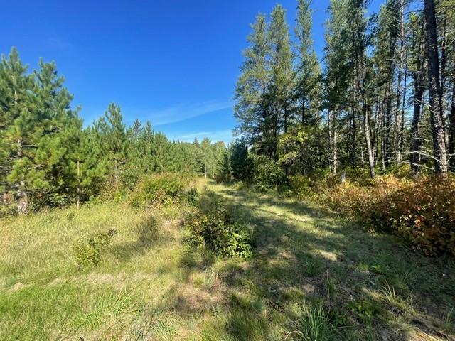 TBD 380th St, Menahga, MN 56464