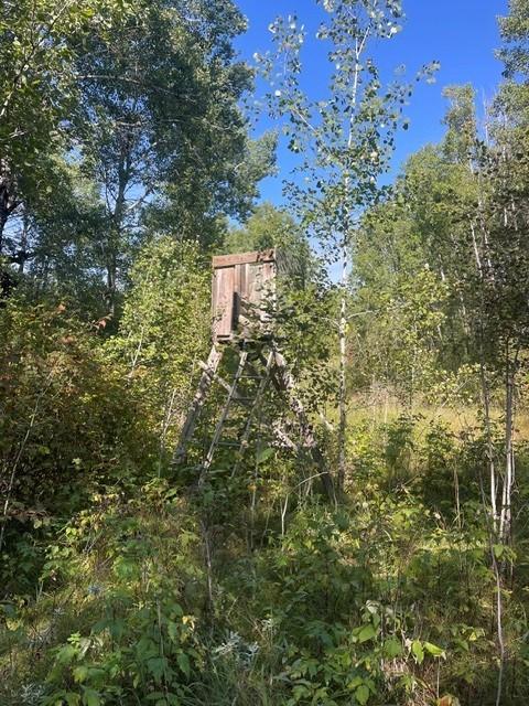TBD 380th St, Menahga, MN 56464