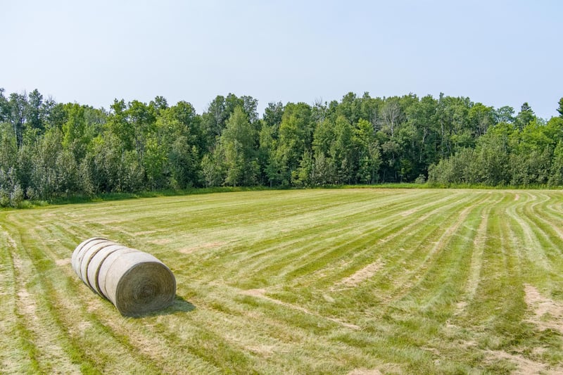 0 Tbd County Hw, Meadowlands, MN 55765