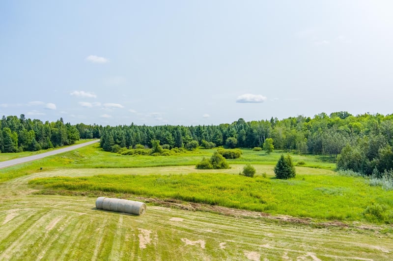 0 Tbd County Hw, Meadowlands, MN 55765