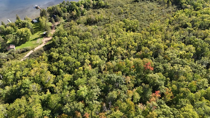 XXX County Road 109, Merrifield, MN 56465
