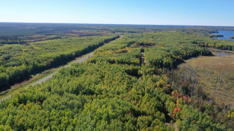 TBD Parcel 4 Hwy 115, Tower, MN 55790
