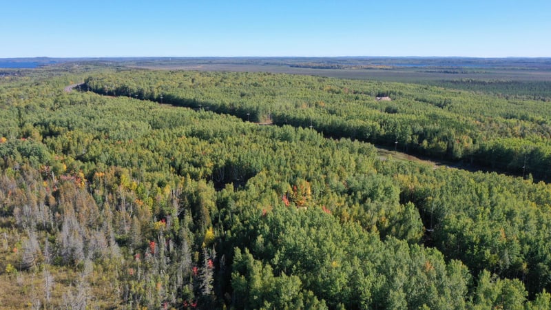 TBD Parcel 5 Hwy 115, Tower, MN 55790