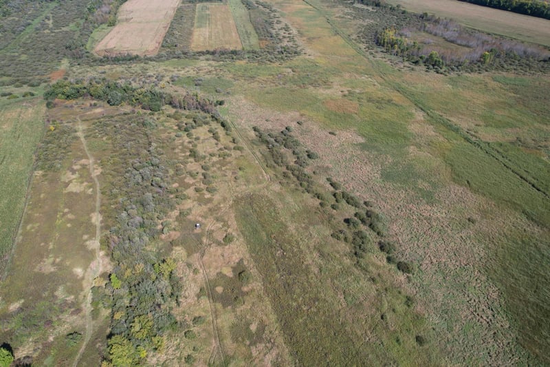 TBD 400th St, Bertha, MN 56437