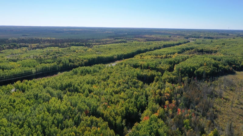 TBD Parcel 6 Hwy 115, Tower, MN 55790