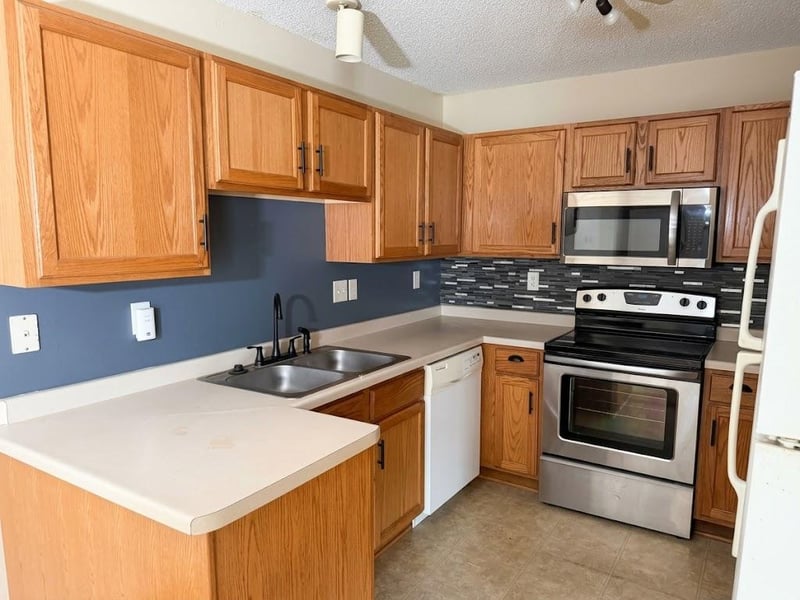 913 Serenity Cir, Norwood Young America, MN 55397