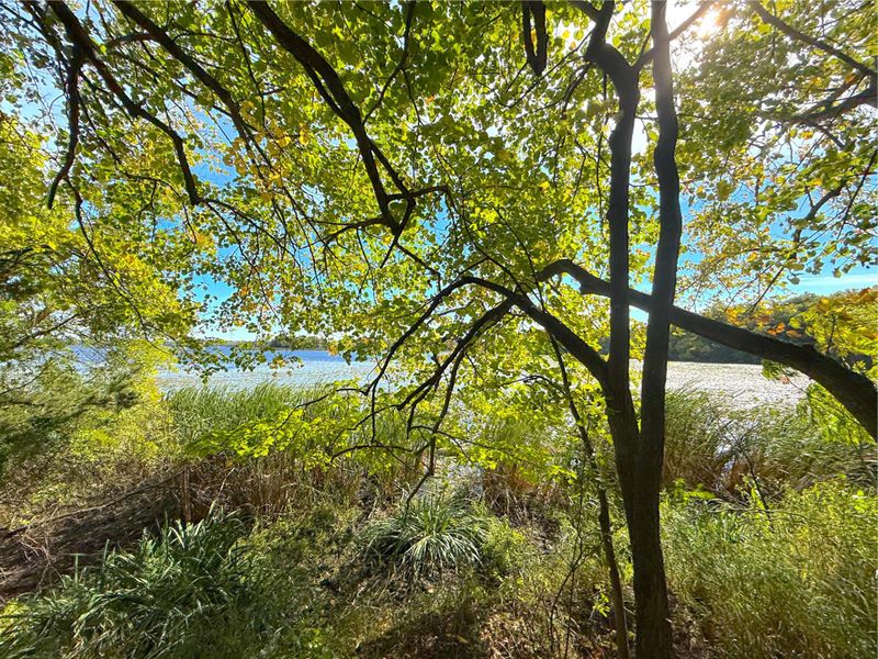 Lot 3 Blk 1 78th St NW, South Haven, MN 55382