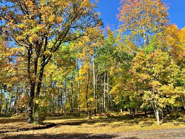 TBD Ironwood Dr, Park Rapids, MN 56470