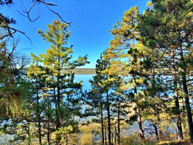 TBD Ironwood Dr, Park Rapids, MN 56470