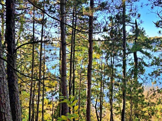 TBD Ironwood Dr, Park Rapids, MN 56470