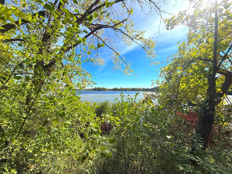 Lot 2 Blk 1 78th St NW, South Haven, MN 55302