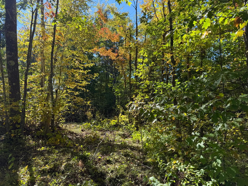 tbd 110th, Sturgeon Lake, MN 55783