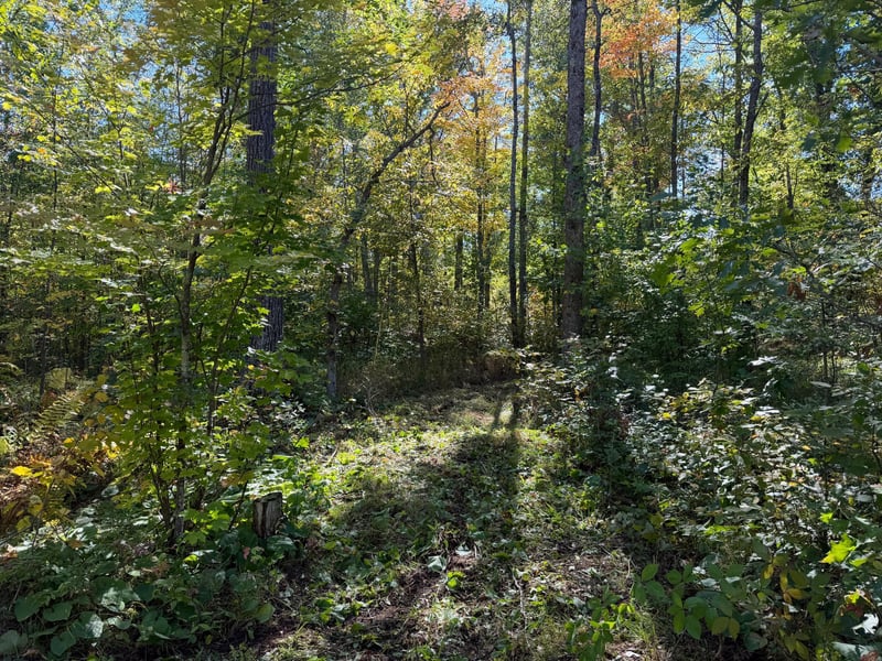 tbd 110th, Sturgeon Lake, MN 55783