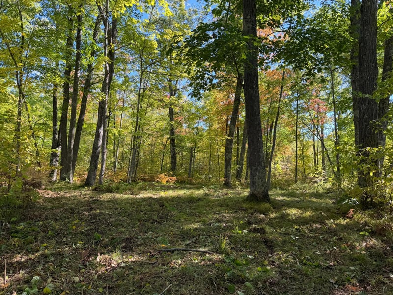 tbd 110th, Sturgeon Lake, MN 55783