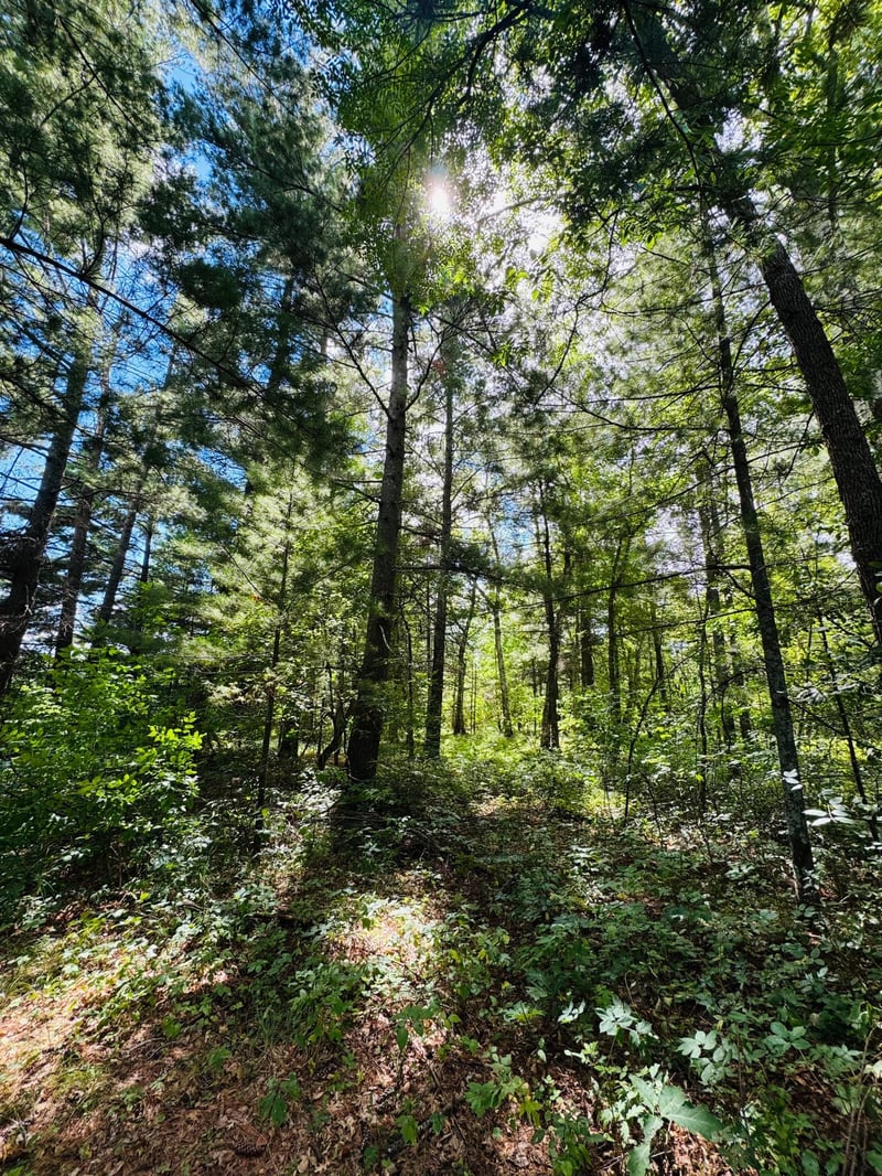 Lots 7 - 8 Morningside Dr, Merrifield, MN 56465