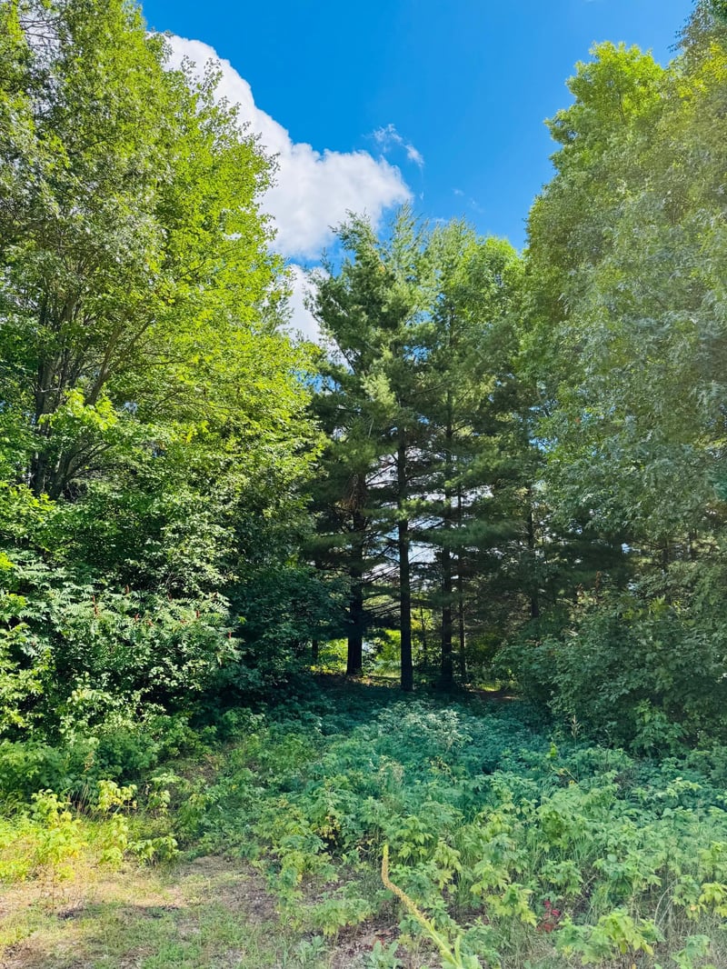Lots 7 - 8 Morningside Dr, Merrifield, MN 56465