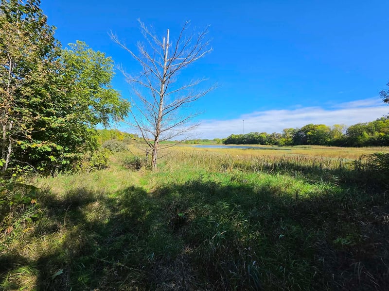 TBD Pleasant Lake Trl, Sverdrup Twp, MN 56586