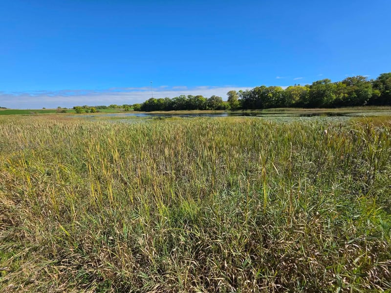 TBD Pleasant Lake Trl, Sverdrup Twp, MN 56586