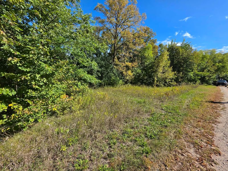 TBD Pleasant Lake Trl, Sverdrup Twp, MN 56586