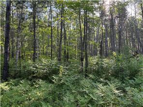 200th Tbd Ave, Mcgregor, MN 55760