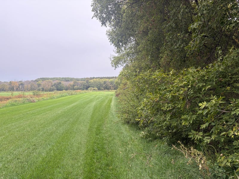TBD County Road 4, Zimmerman, MN 55398