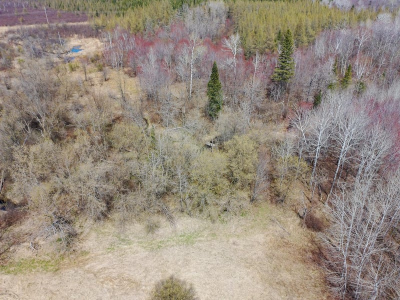 11839 Saint Vincent Rd, Floodwood, MN 55736