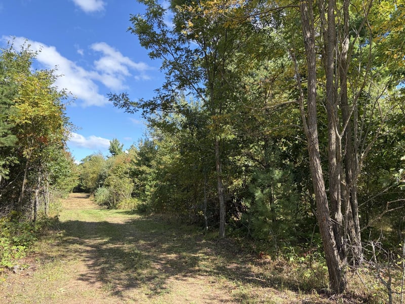 XXX Bluebird Trl, Webster, WI 54893