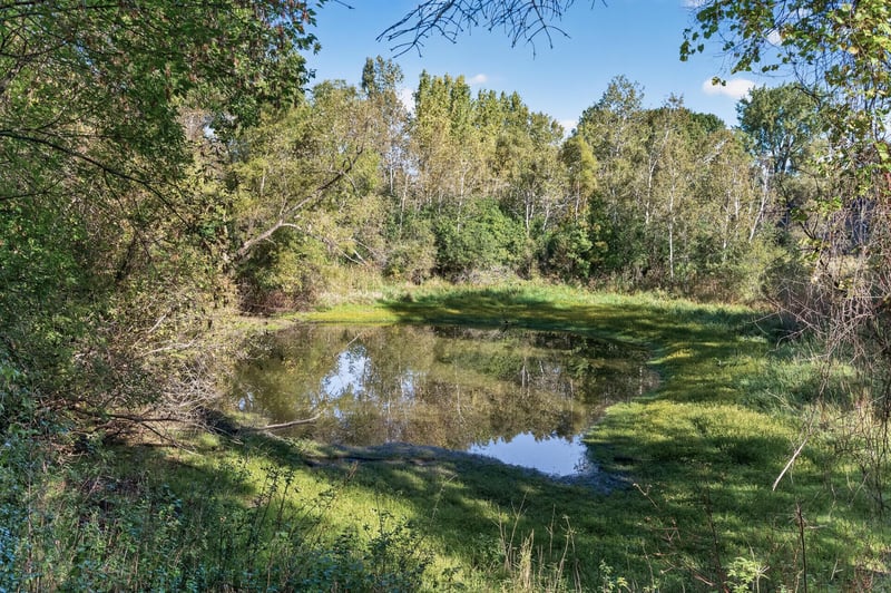 6612 Sherman Lake Rd, Lino Lakes, MN 55038