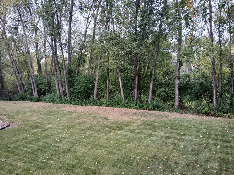 9040 Parkside Dr, Woodbury, MN 55125