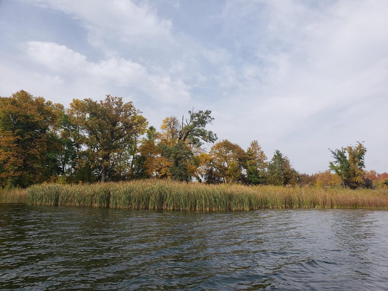 TBD Loon Trl, Vergas, MN 56587
