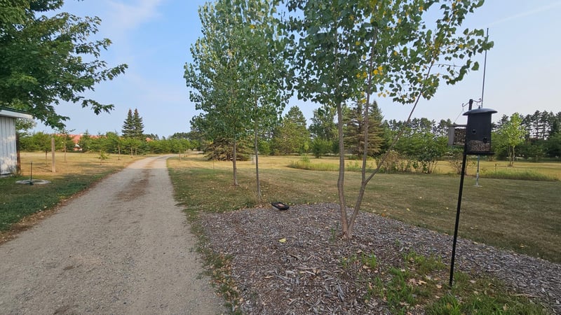 12810 18th Ave SW, Pillager, MN 56473
