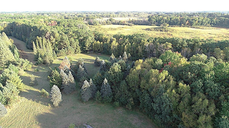 XXXX 217th Ave NE, Linwood Twp, MN 55005