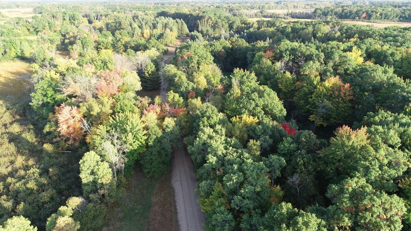 XXXX 217th Ave NE, Stacy, MN 55005