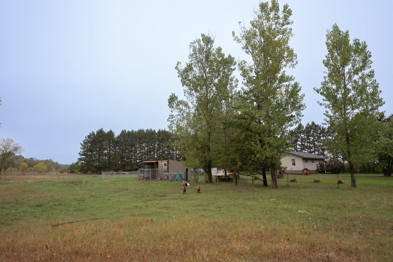 46215 331st Ave, Motley, MN 56466