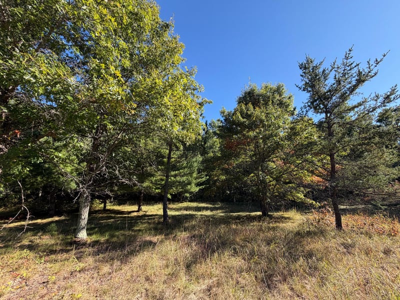 29922 N Bay Dr, Webb Lake, WI 54830
