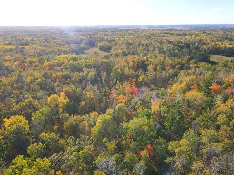 XXX Us 71, Park Rapids, MN 56470