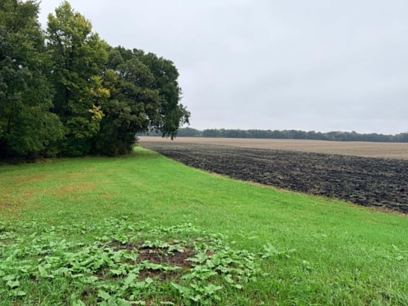 11835 Highway 68, New Ulm, MN 56073
