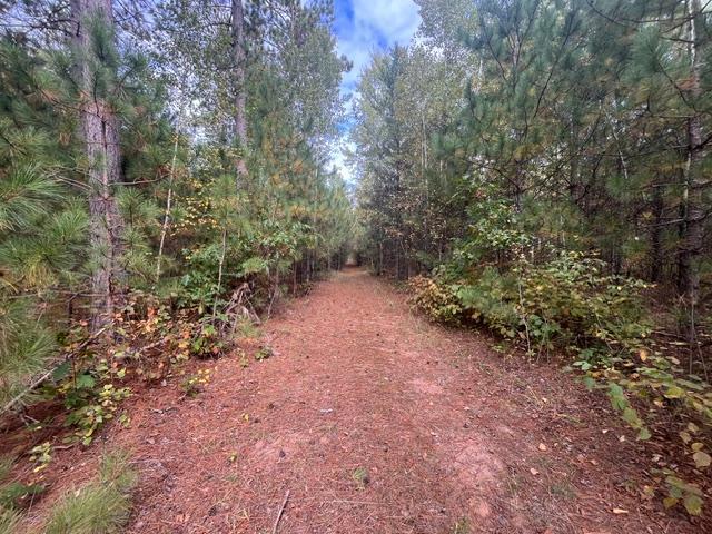 8924 Black Brook Rd, Webster, WI 54893