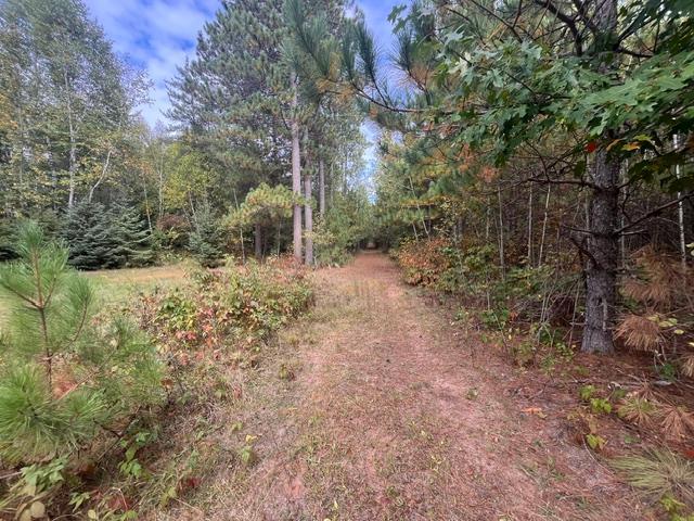 8924 Black Brook Rd, Webster, WI 54893