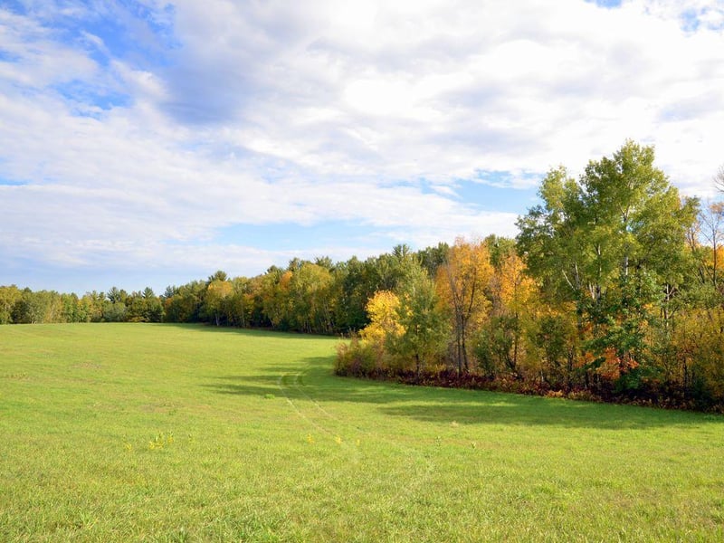 TBD Juneberry Dr, Park Rapids, MN 56470