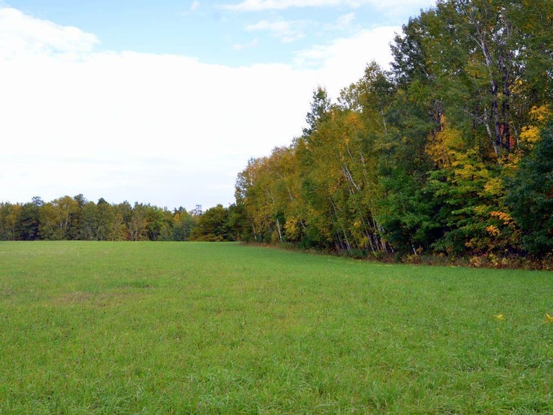 TBD Juneberry Dr, Park Rapids, MN 56470