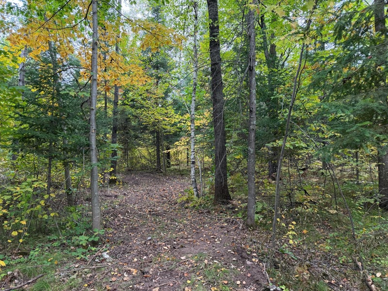 51181 Sand Creek Rd, Bruno, MN 55712
