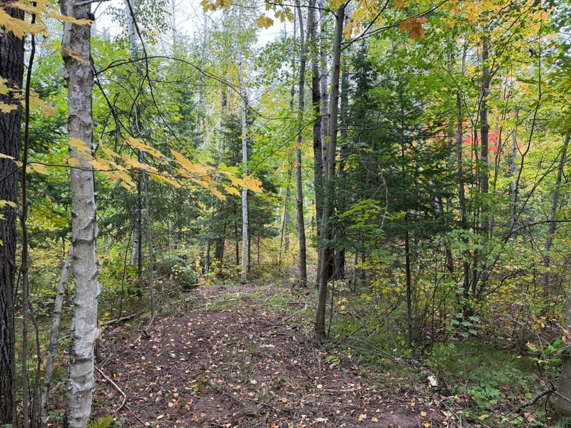 51181 Sand Creek Rd, Bruno, MN 55712