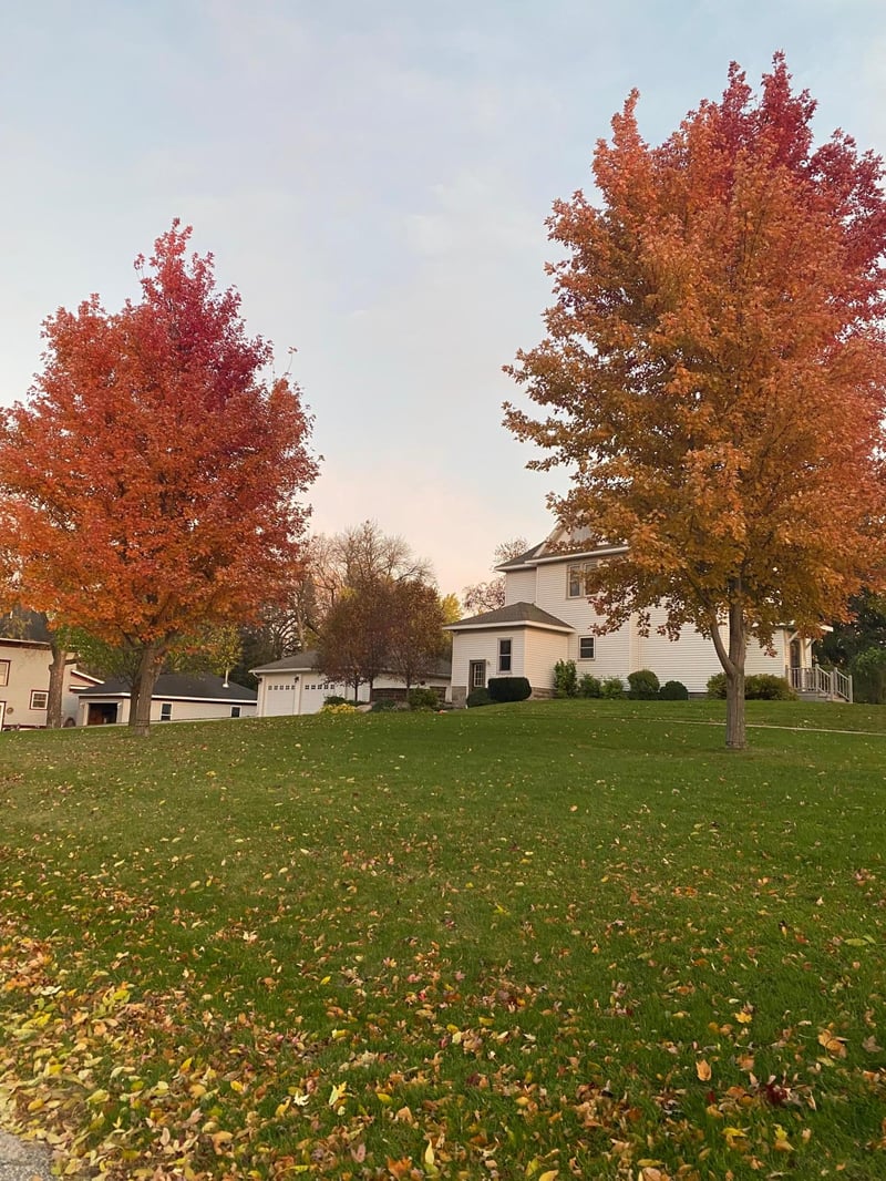 627 12th St, Dawson, MN 56232