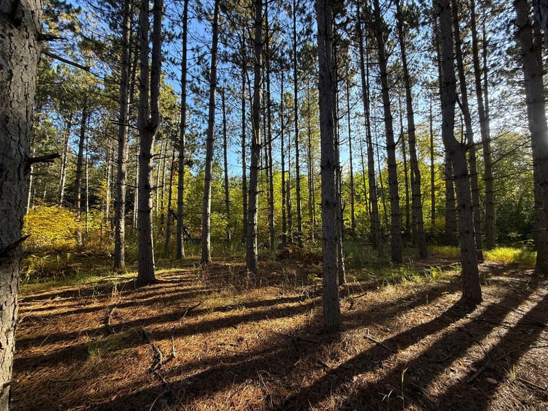 XXX 540th Ln, Palisade, MN 56469