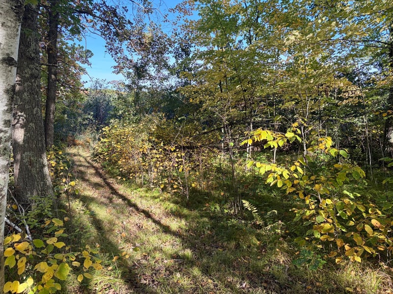 TBD 248th Pl, Mcgregor, MN 55760