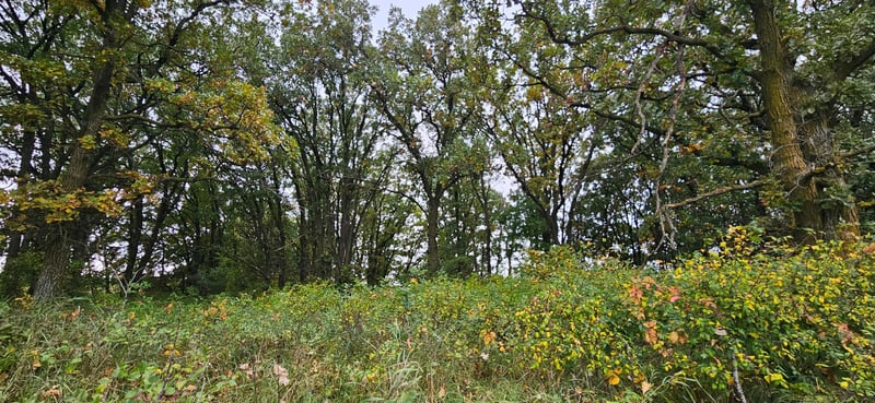 tbd County Highway 127, Ottertail, MN 56571
