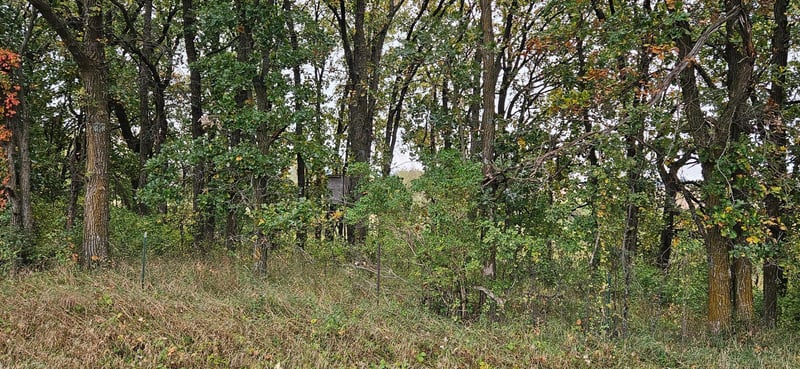 tbd County Highway 127, Ottertail, MN 56571